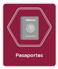 Pasaportes