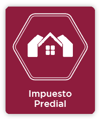 Impuestos Inmobiliarios